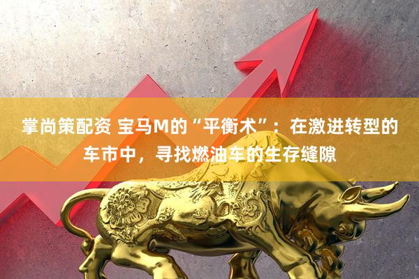 掌尚策配资 宝马M的“平衡术”：在激进转型的车市中，寻找燃油车的生存缝隙
